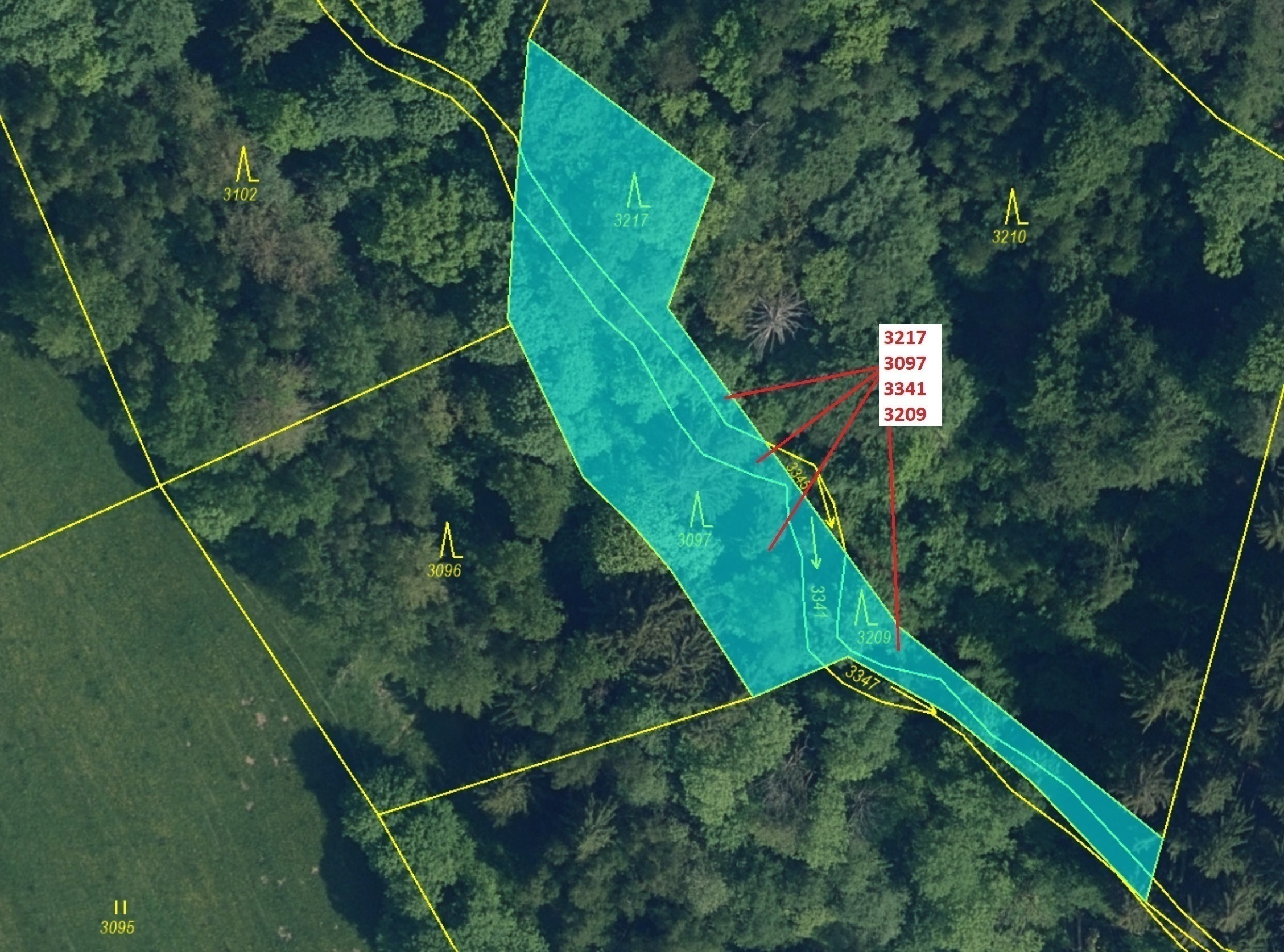 Lesní pozemky a vodní plocha o výměře 1649 m2, podíl 1/1, katastrální území Benešov u Semil, obec Be