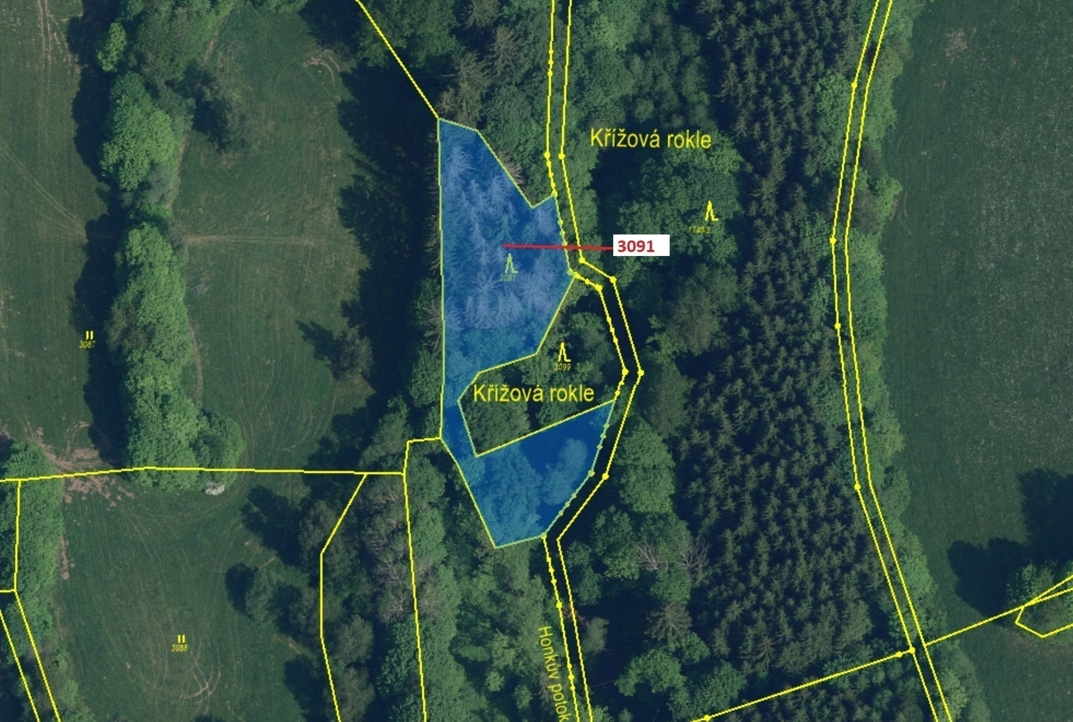 Lesní pozemek o výměře 1964 m2, podíl 1/1, katastrální území Benešov u Semil, obec Benešov u Semil, 