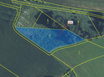 Prodej pozemku, les, 3 972 m²