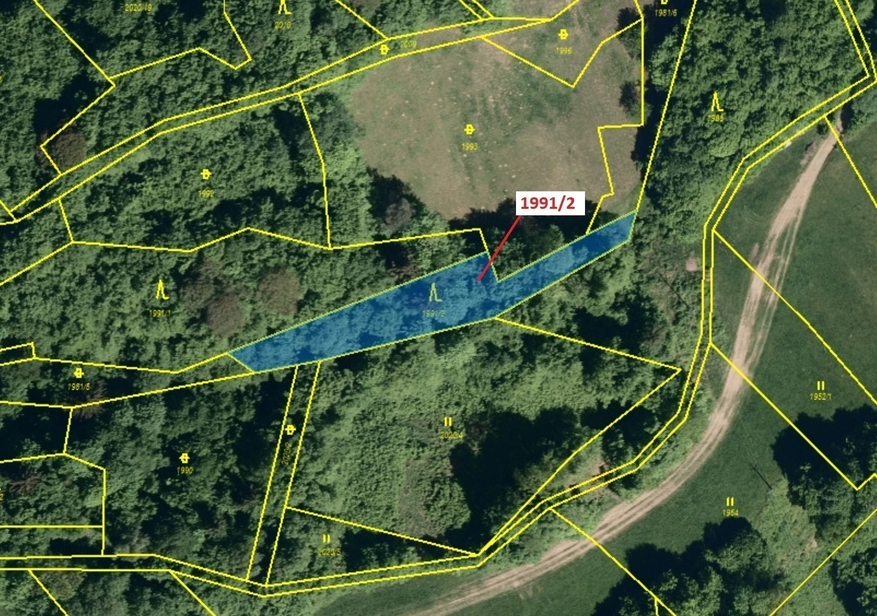 Lesní pozemek o výměře 933 m2, podíl 1/1, katastrální území Hovězí, obec Hovězí, obec s rozšířenou p