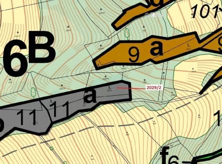 Prodej pozemku, les, 788 m²