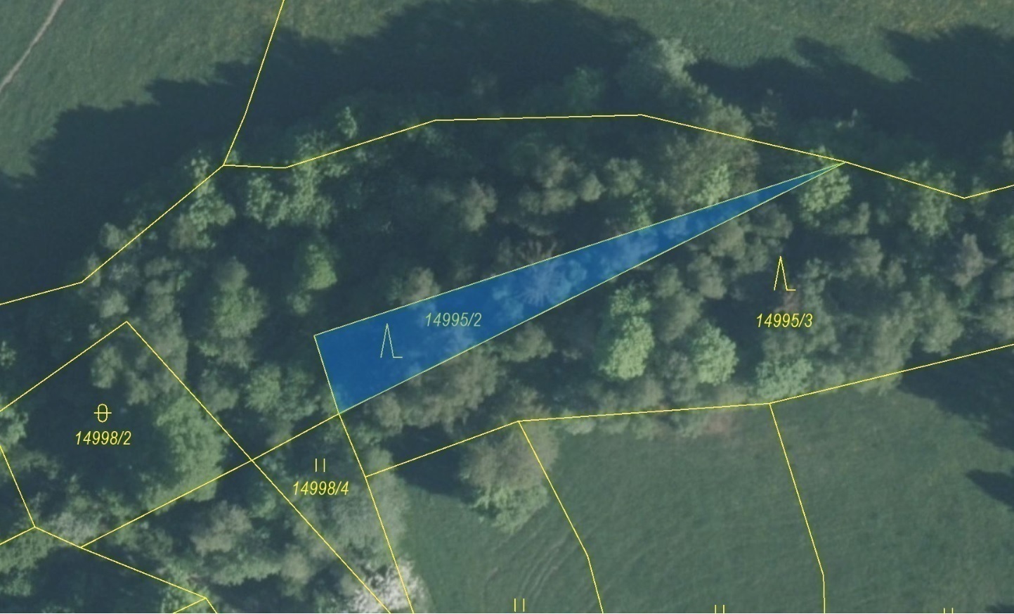 Lesní pozemek o výměře 330 m2, podíl 1/1, katastrální území Hovězí, obec Hovězí, obec s rozšířenou p