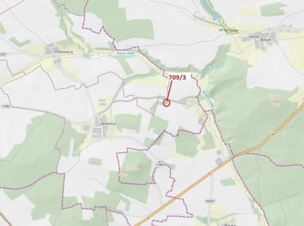 Prodej pozemku, les, 301 m²