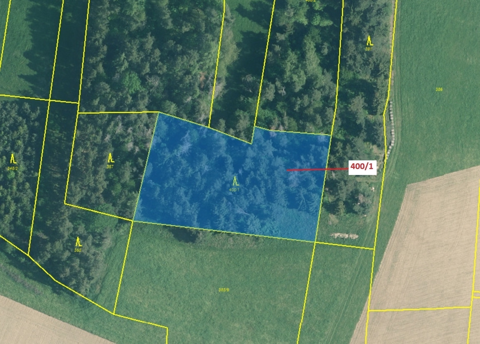 Lesní pozemek o výměře 3965 m2, podíl 1/1, katastrální území Netonice, obec Bílsko, obec s rozšířeno