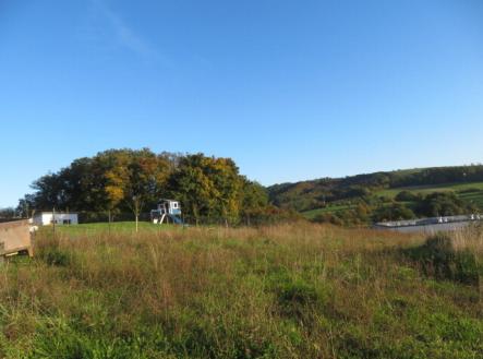 Prodej pozemku, trvalý travní porost, 6 503 m²