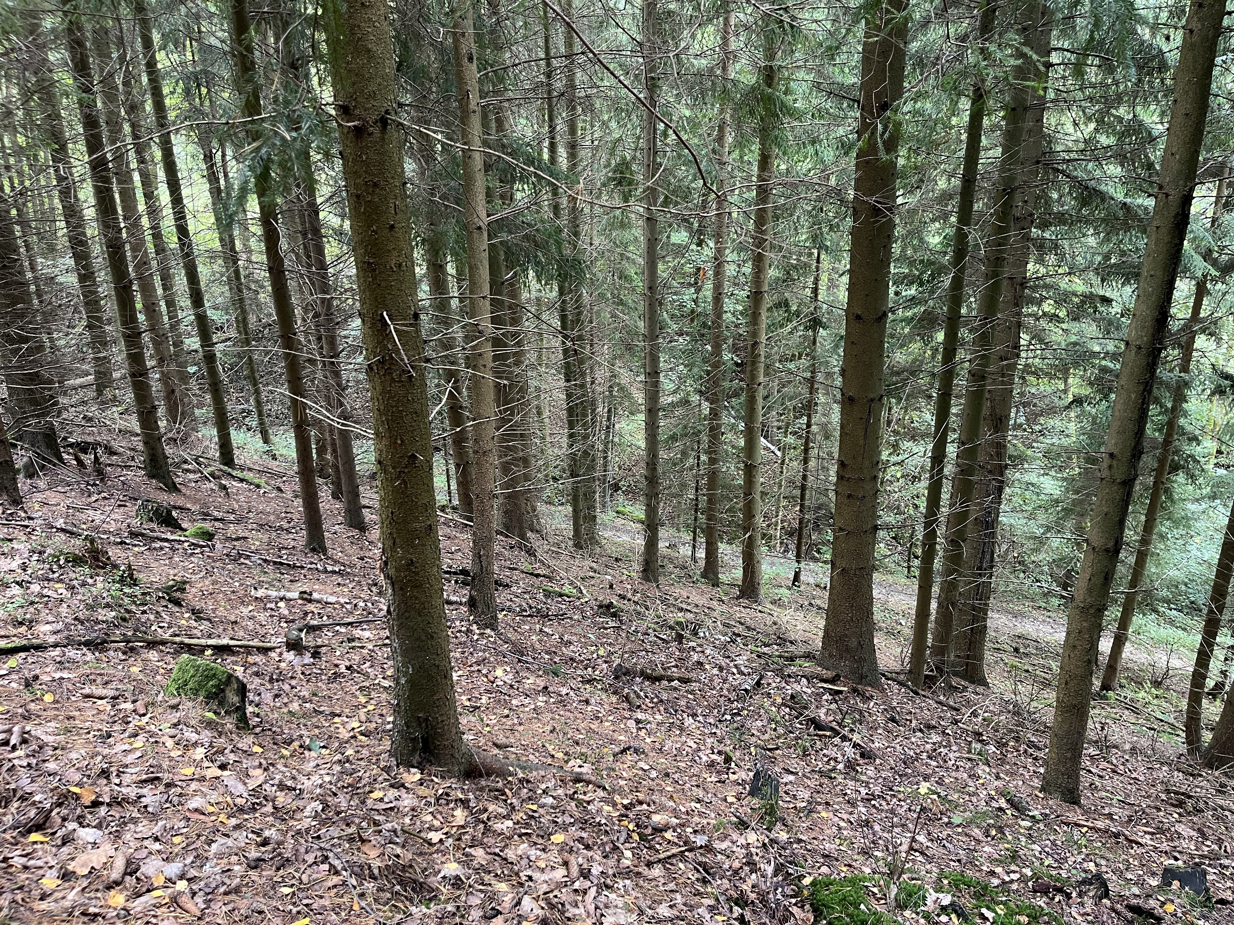 E-veřejná soutěž pozemku o výměře 3816 m2, kat. území Smrčí u Semil