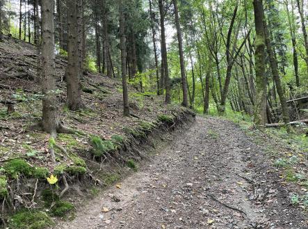 Prodej pozemku, les, 3 816 m²