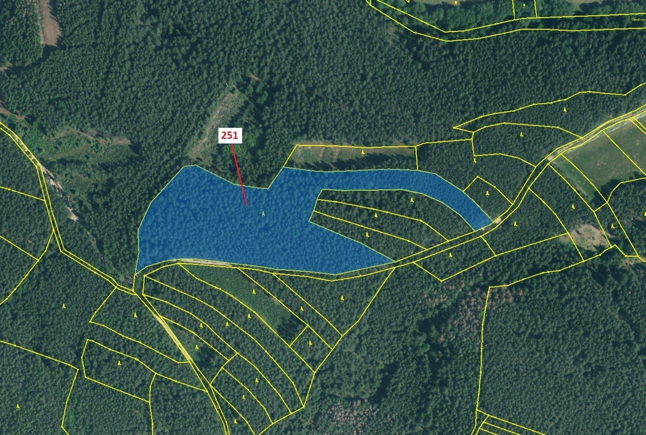 Lesní pozemek o výměře 25 680 m2, podíl 1/1, katastrální území Česká Doubravice, obec Manětín, obec 