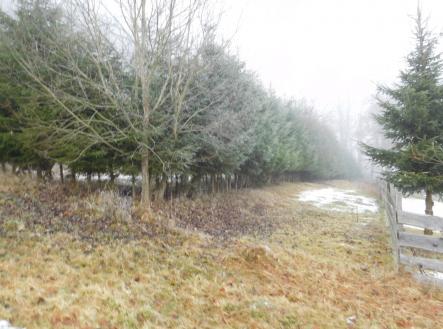 Prodej pozemku, trvalý travní porost, 3 804 m²