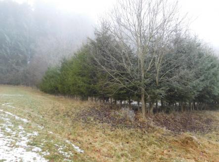 Prodej pozemku, trvalý travní porost, 3 804 m²