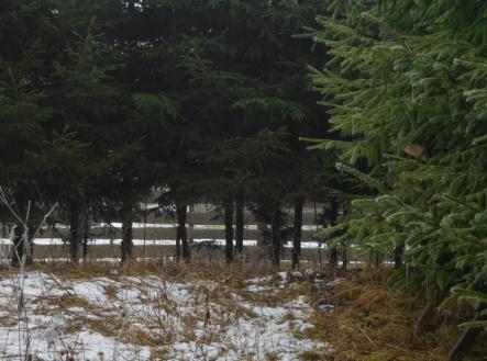 Prodej pozemku, trvalý travní porost, 3 804 m²