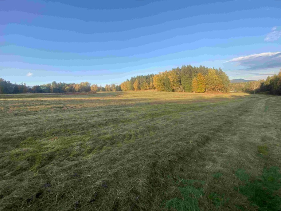 Pozemek o velikosti 7470m2, Trávník u Cvikova