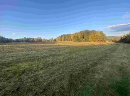Prodej pozemku, trvalý travní porost, 7 470 m²