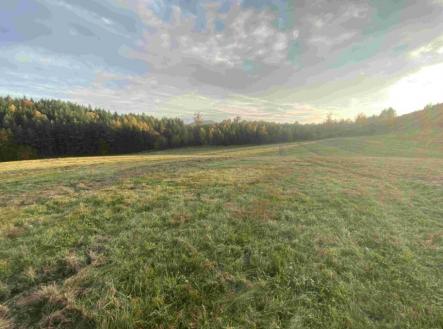 Prodej pozemku, trvalý travní porost, 7 470 m²