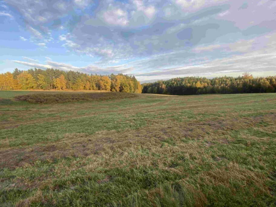 Pozemek o velikosti 7470m2, Trávník u Cvikova