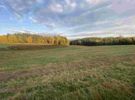 Prodej pozemku, trvalý travní porost, 7 470 m²