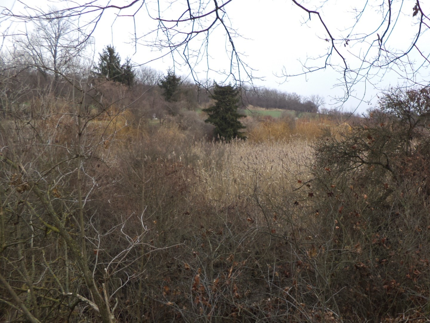 Pozemek o velikosti 1366m2, Popovice u Brandýsa nad Labem