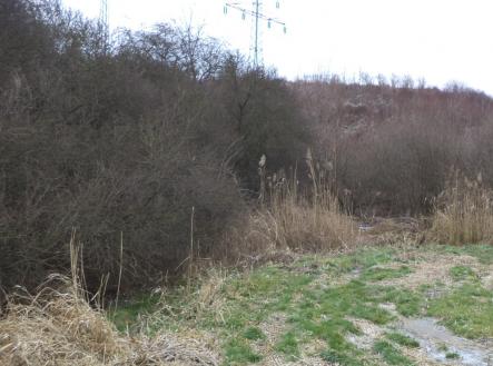 Prodej pozemku, trvalý travní porost, 1 366 m²