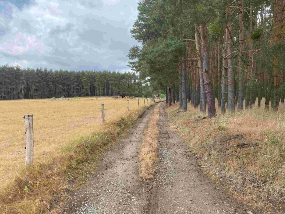 Pozemek o velikosti 1744m2, Tuněchody u Stříbra