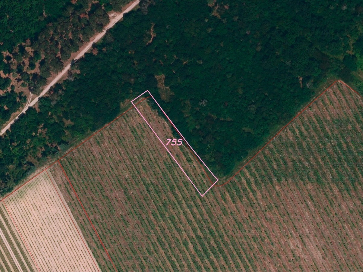 Pozemek o velikosti 1683m2, Konice u Znojma