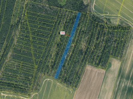 Prodej pozemku, les, 5 196 m²