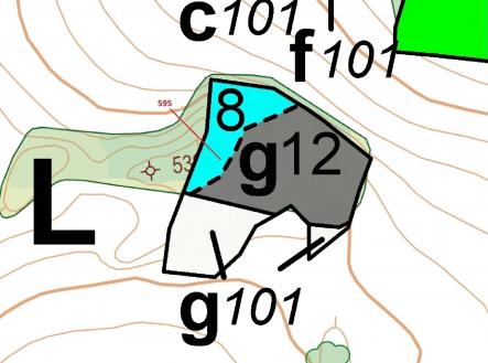 Prodej pozemku, les, 4 801 m²