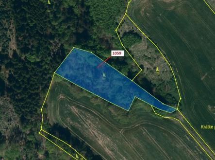 Prodej pozemku, les, 3 646 m²