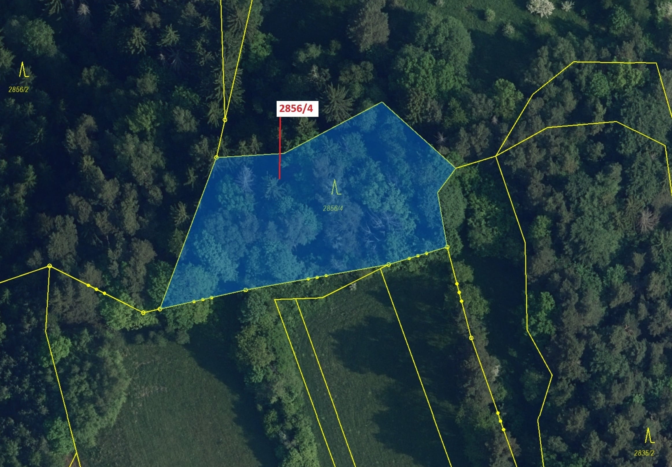 Lesní pozemek o výměře 2709 m2, podíl 1/1, katastrální území Český Dub, obec Český Dub, obec s rozší