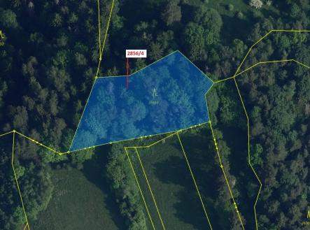 Prodej pozemku, les, 2 709 m²