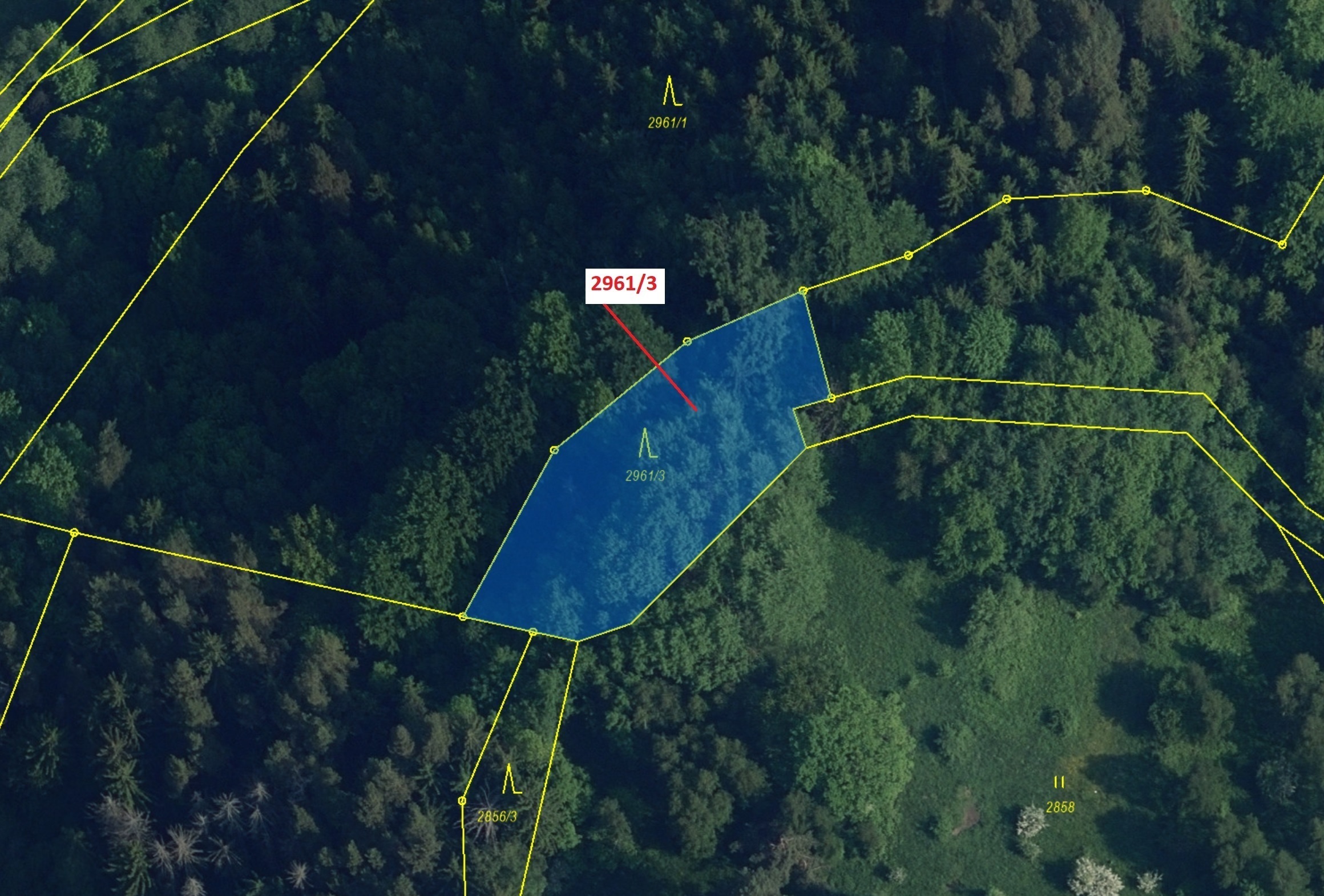 Lesní pozemek o výměře 1217 m2, podíl 1/1, katastrální území Český Dub, obec Český Dub, obec s rozší