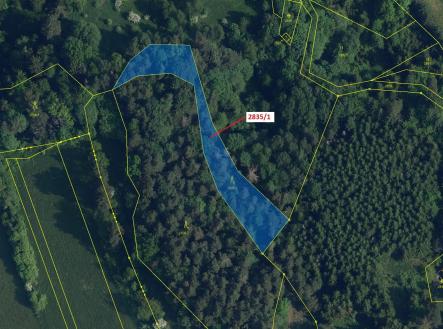 Prodej pozemku, les, 2 117 m²