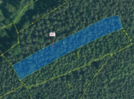 Prodej pozemku, les, 2 913 m²