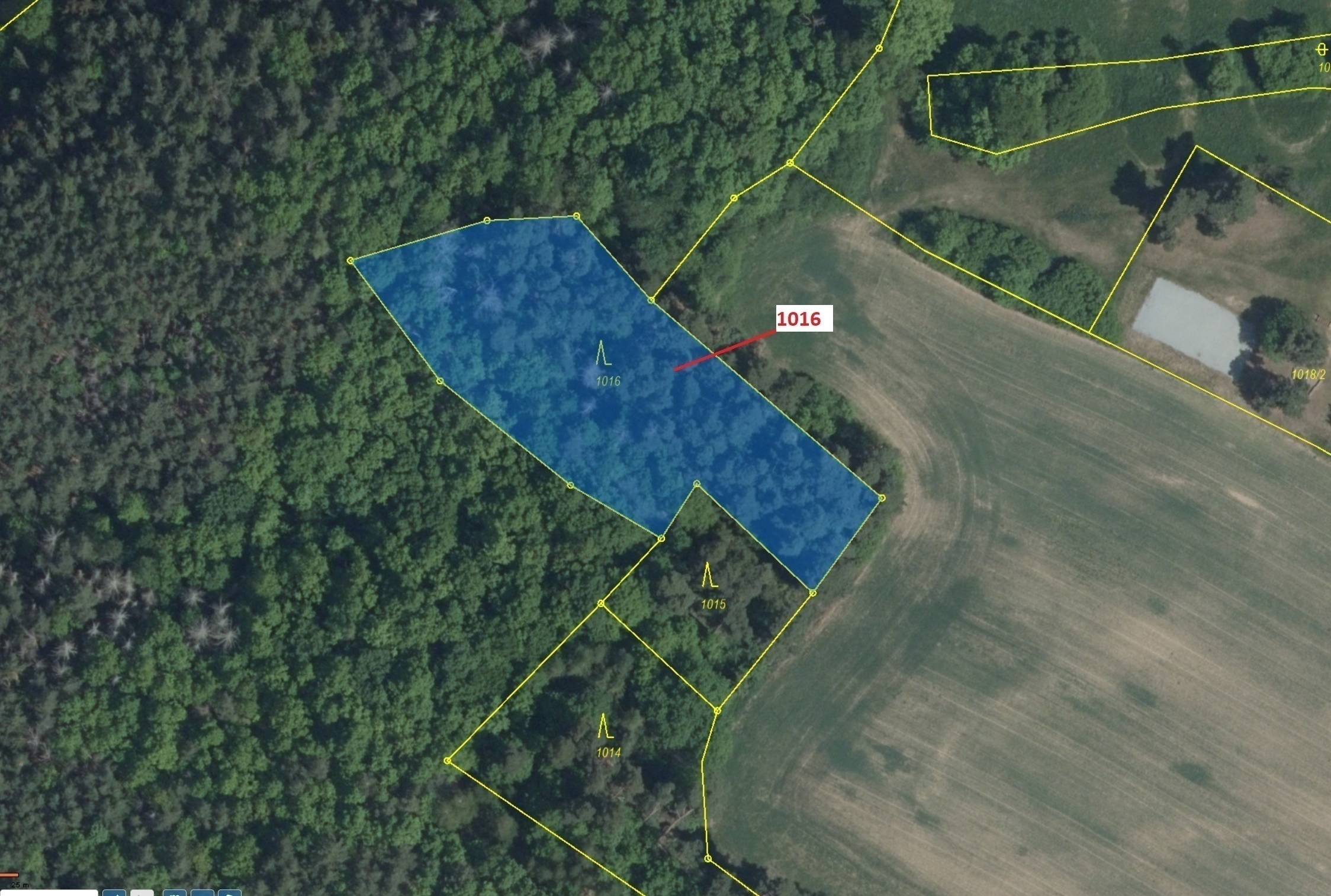 Lesní pozemek o výměře 2458 m2, podíl 1/1, katastrální území Jedov, obec Náměšť nad Oslavou, obec s 