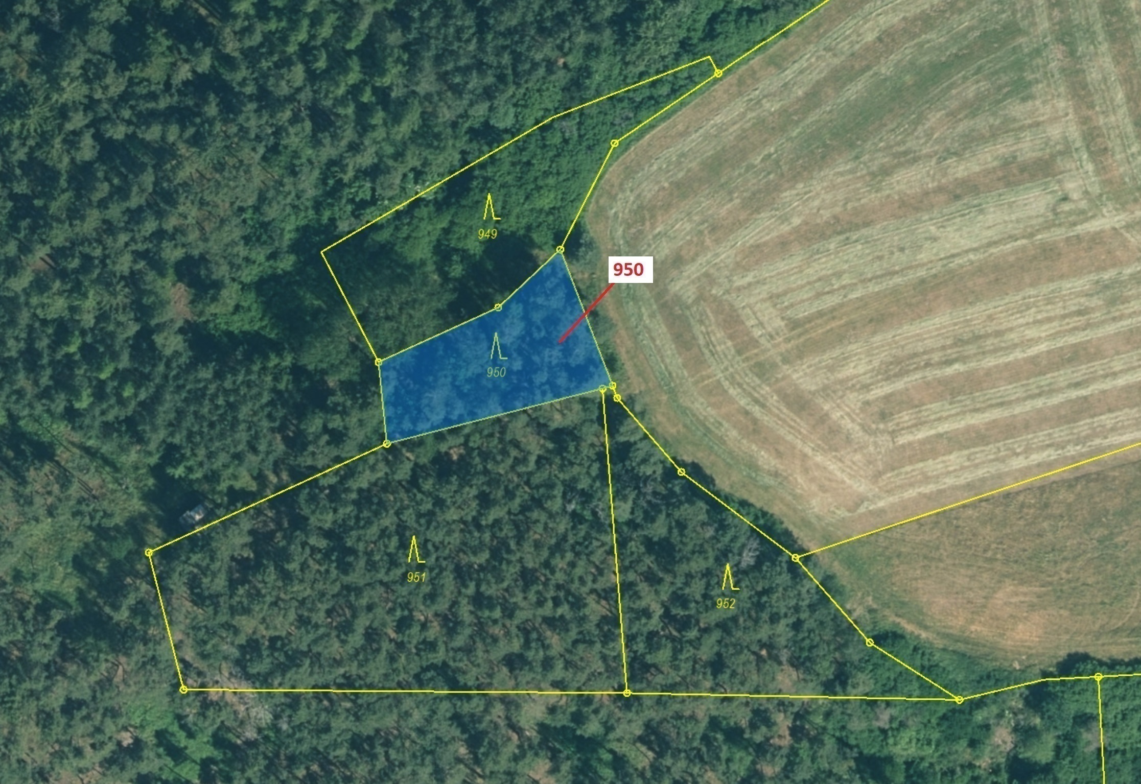 Lesní pozemek o výměře 564 m2, podíl 1/1, katastrální území Horní Hradiště, obec Plasy, obec s rozší