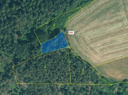 Prodej pozemku, les, 564 m²