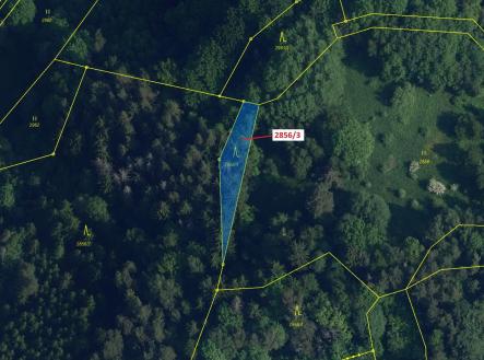 Prodej pozemku, les, 448 m²