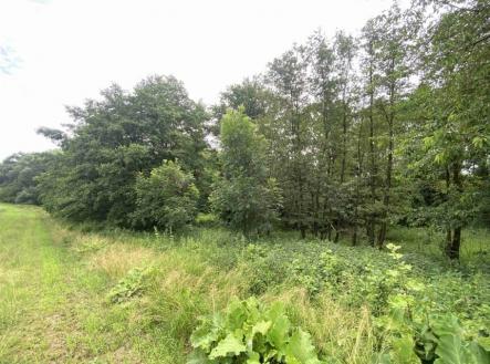 Prodej pozemku, ostatní, 2 368 m²