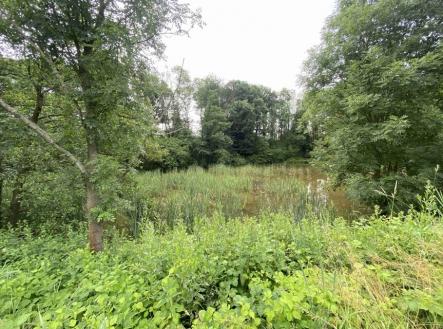 Prodej pozemku, ostatní, 2 368 m²