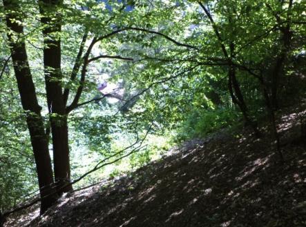 Prodej pozemku, trvalý travní porost, 675 m²