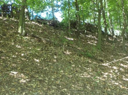 Prodej pozemku, trvalý travní porost, 675 m²