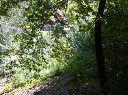 Prodej pozemku, trvalý travní porost, 675 m²