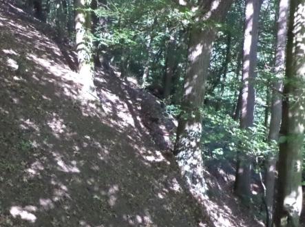 Prodej pozemku, trvalý travní porost, 675 m²