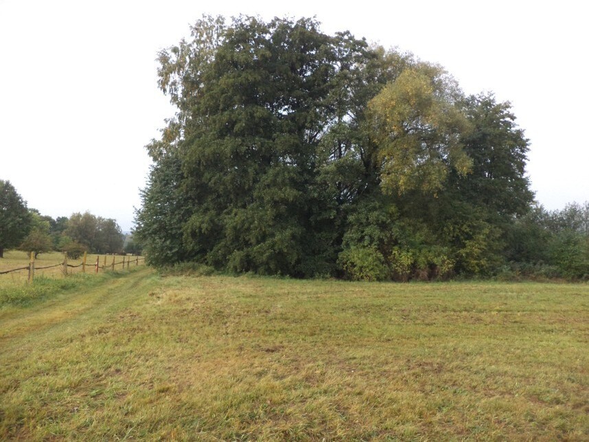 Pozemek o velikosti 1083m2, Malíkov nad Nežárkou
