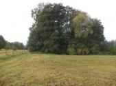 Prodej pozemku, trvalý travní porost, 1 083 m²