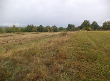 Prodej pozemku, trvalý travní porost, 1 083 m²