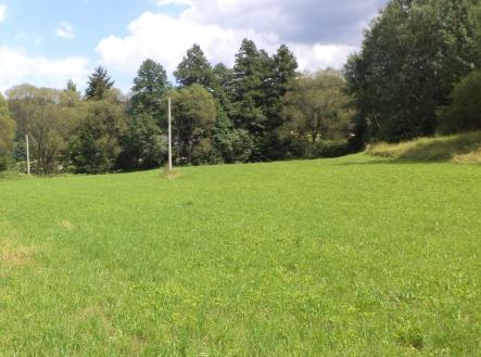 Prodej pozemku, trvalý travní porost, 3 601 m²