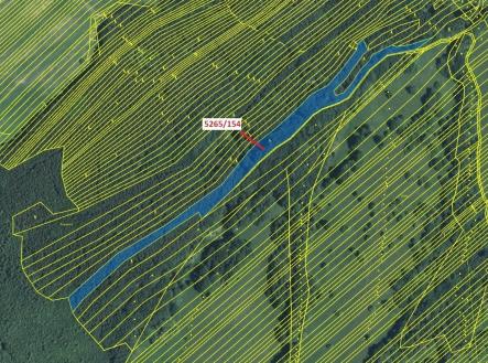 Prodej pozemku, les, 16 804 m²