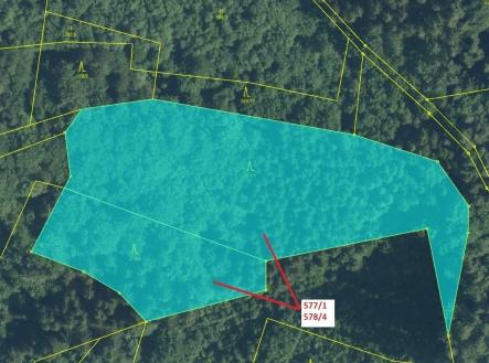 Prodej pozemku, les, 10 642 m²