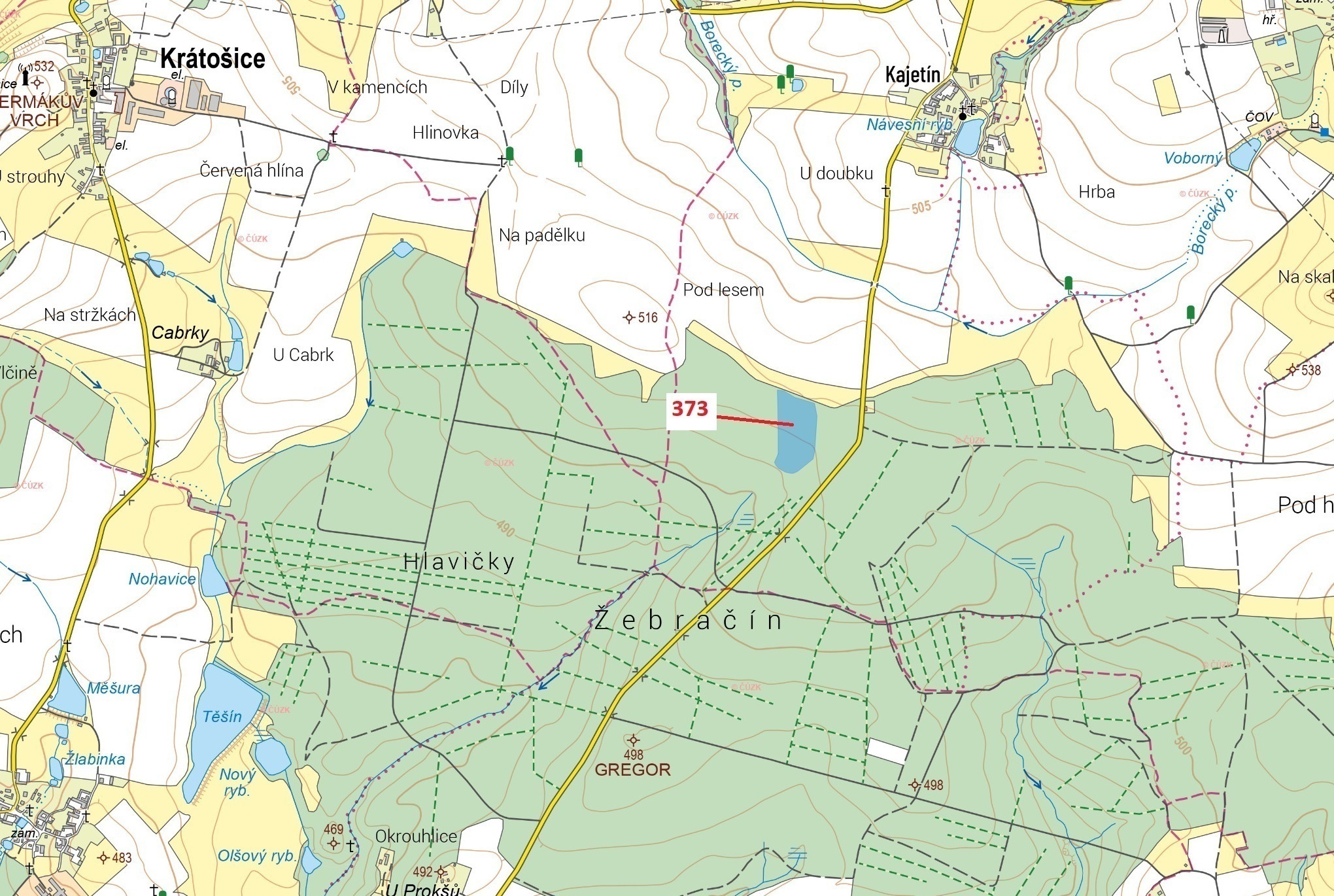Lesní pozemek o výměře 25 608 m2, podíl 1/1, katastrální území Kajetín, obec Choustník, obec s rozší