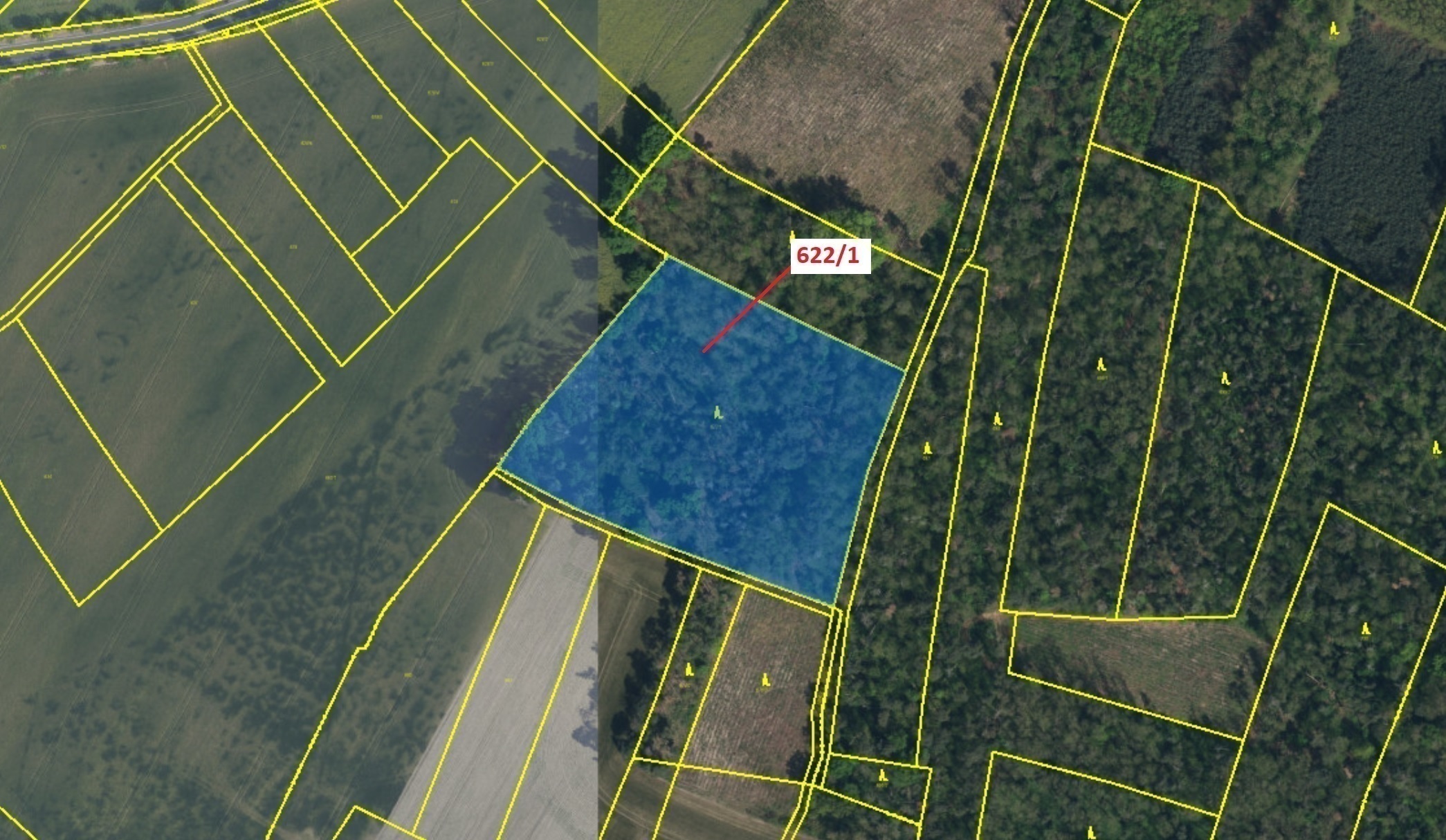 Lesní pozemek o výměře 12 017 m2, podíl 1/1, katastrální území Bernardov, obec Bernardov, obec s roz